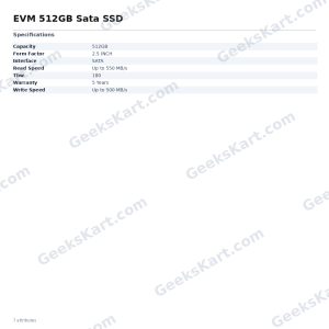 EVM 512GB Sata SSD