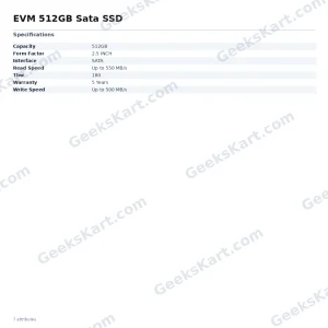 EVM 512GB Sata SSD