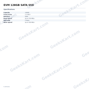 EVM 128GB SATA SSD