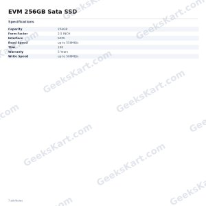 EVM 256GB Sata SSD