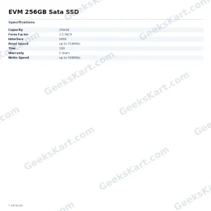 EVM 256GB Sata SSD