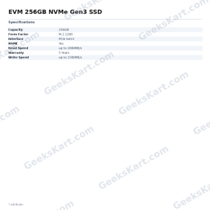 EVM 256GB NVMe Gen3 SSD