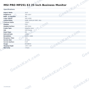 MSI PRO MP251 E2 25 Inch Business Monitor