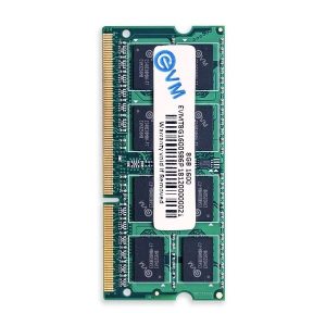 EVM Laptop 8GB DDR3 RAM 1600MHz